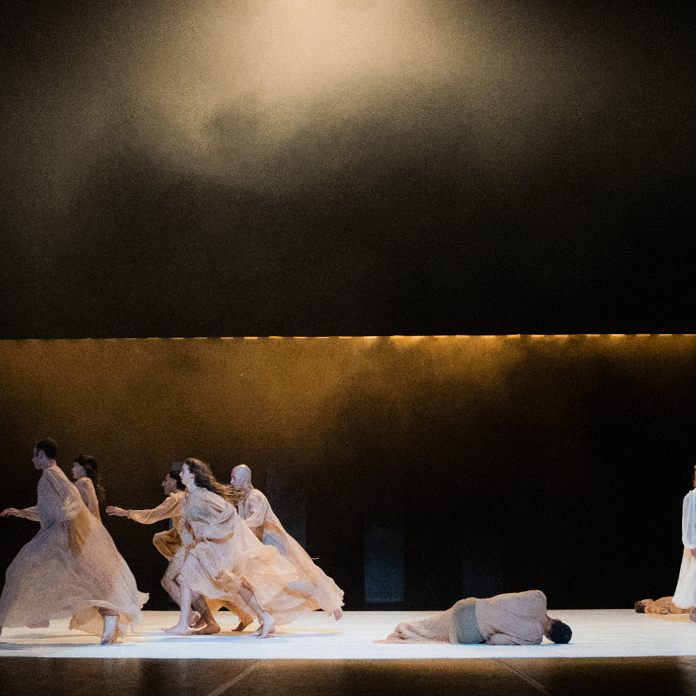 Cinq jours au soleil — Festival Les Hivernales · Avignon