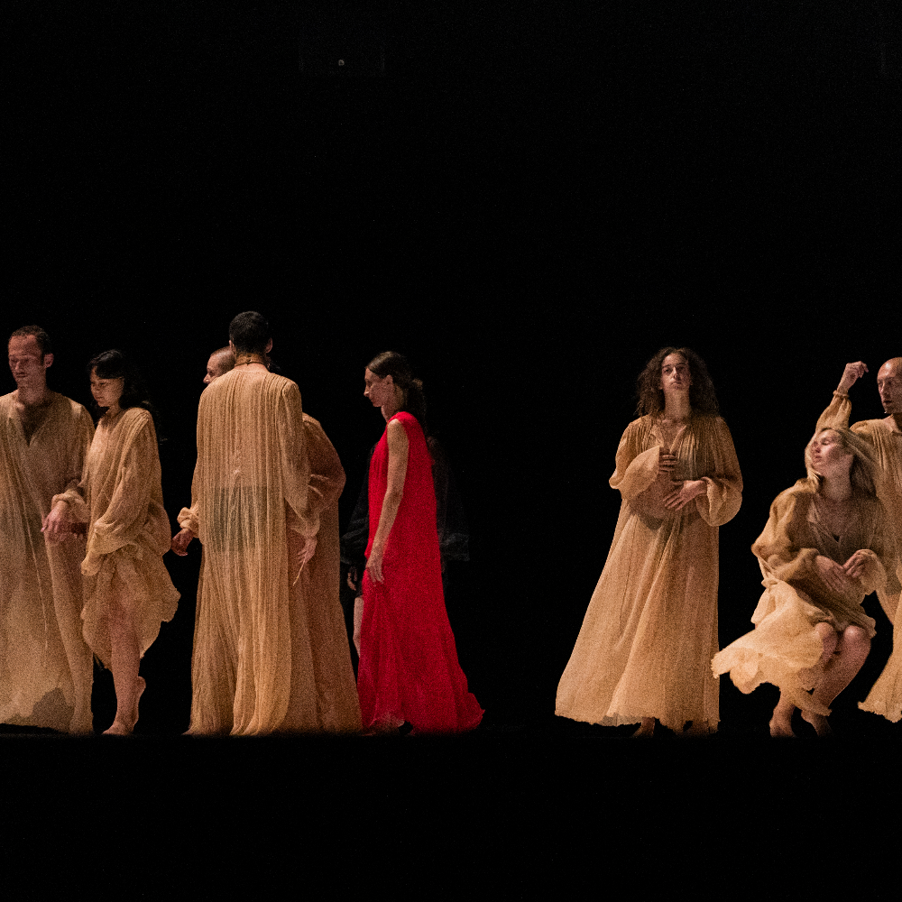 Cinq jours au soleil — Festival de Danse de Cannes